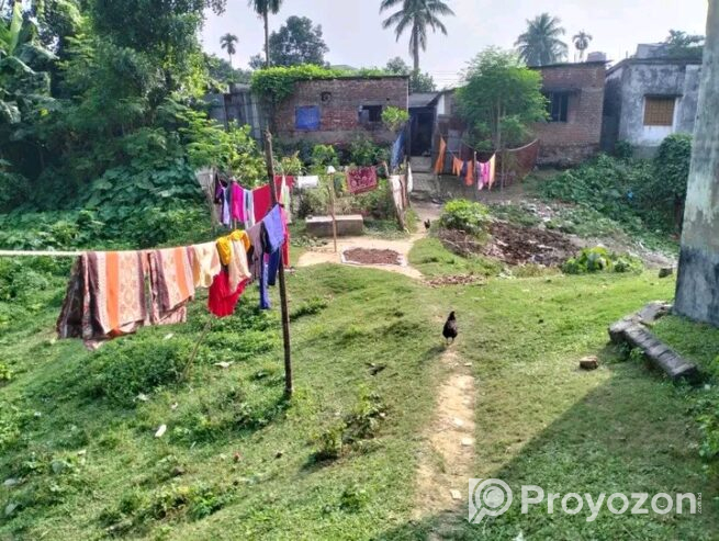 দিনাজপুর পাটুয়াপারা লিচুবাগান এর পাশে জমি বিক্রি হবে