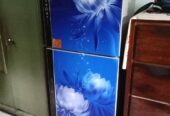 Vision 29 Litter Refrigerators (Used)