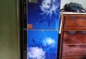 Vision 29 Litter Refrigerators (Used)