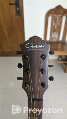 Guson GA-01 CM Guitar