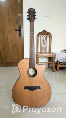 Guson GA-01 CM Guitar