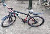 Phoenix MTB Bicycle