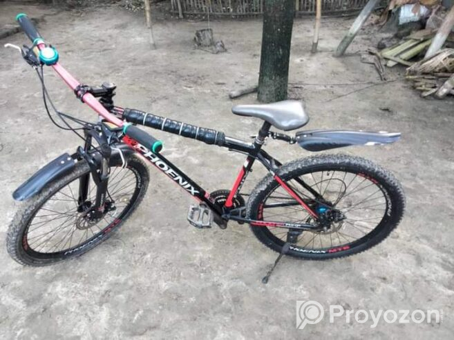 Phoenix MTB Bicycle