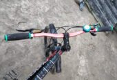 Phoenix MTB Bicycle