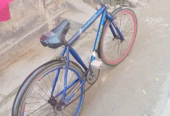 সোজা হ্যান্ডেলের বাই সাইকেল (bicycle)