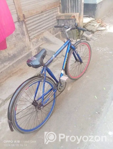 সোজা হ্যান্ডেলের বাই সাইকেল (bicycle)