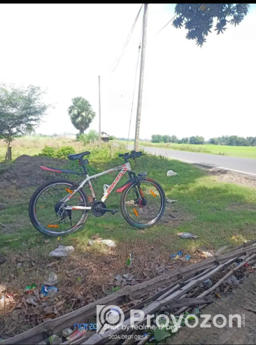 ROADEO Bicycle