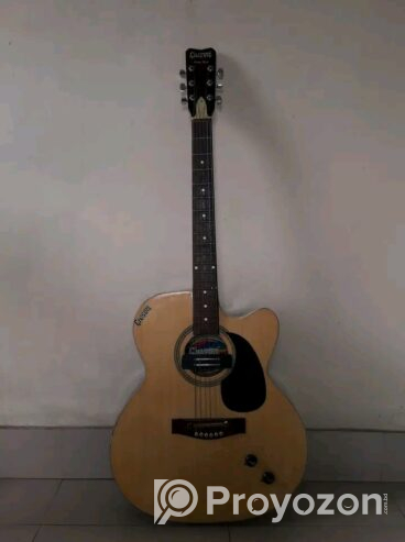 Givson Venus Rose guitar (Used)