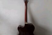 Givson Venus Rose guitar (Used)