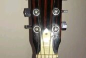 Givson Venus Rose guitar (Used)