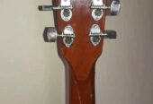 Givson Venus Rose guitar (Used)