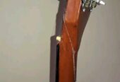 Givson Venus Rose guitar (Used)