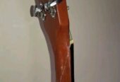 Givson Venus Rose guitar (Used)