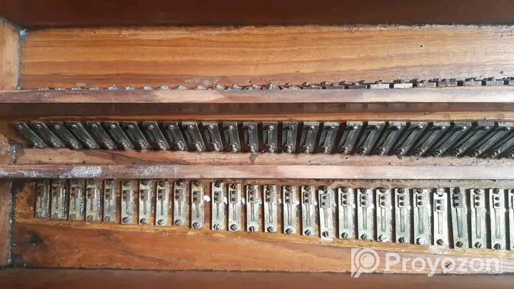 Old Antique Harmonium (Used)