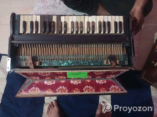 Old Antique Harmonium (Used)