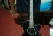 Guitar Sell (Used)