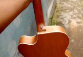 Signature Acoustic Guitar