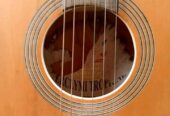 Signature Acoustic Guitar