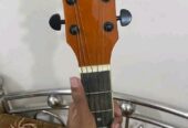 TGM Acoustic Guitar SM-2022 BK