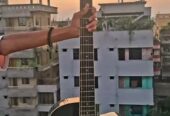 Axe 48c musical Guiter