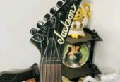 Jackson Guitar sell