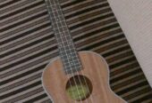 Sell post-musical instrument Guiter