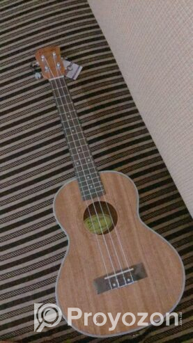 Sell post-musical instrument Guiter