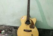 Givson Acoustic Guitar (Used)