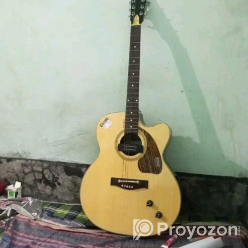 Givson Acoustic Guitar (Used)