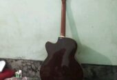 Givson Acoustic Guitar (Used)