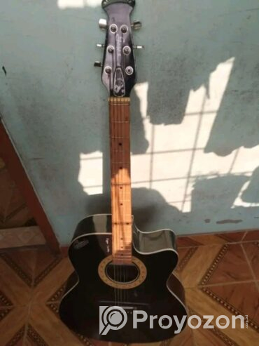 Signature guitar (Used)