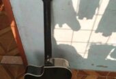 Signature guitar (Used)