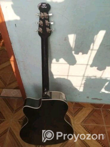 Signature guitar (Used)