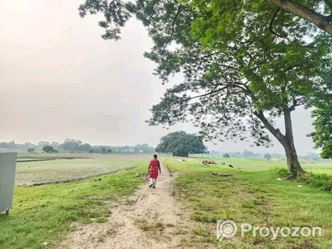 আকর্ষণীয় মূল্যে প্লট বিক্রয় চলছে