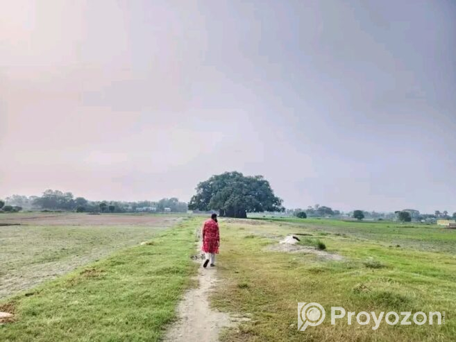 আকর্ষণীয় মূল্যে প্লট বিক্রয় চলছে