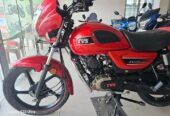 TVS Radeon 2019 model 110cc