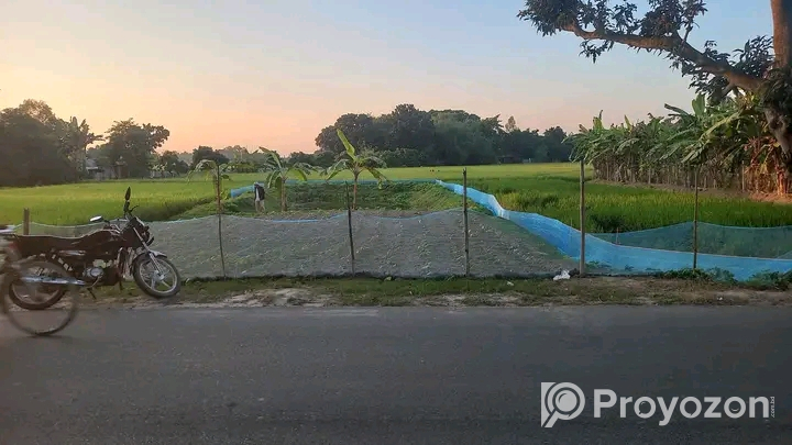 দিনাজপুর রানীগঞ্জ বাজার দিকে জমি  বিক্রি হবে।