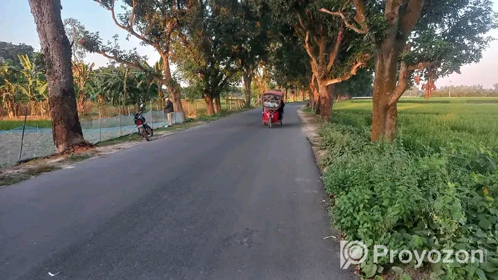 দিনাজপুর রানীগঞ্জ বাজার দিকে জমি  বিক্রি হবে।