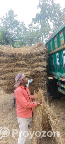 ধানের খড় বিক্রি হবে।