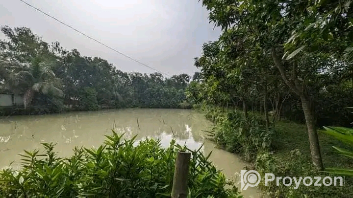 শহরের অদূরে গ্রামীন বাগানসহ পুকুর বিক্রি হবে