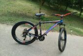 Foxter Bicycle (Used)