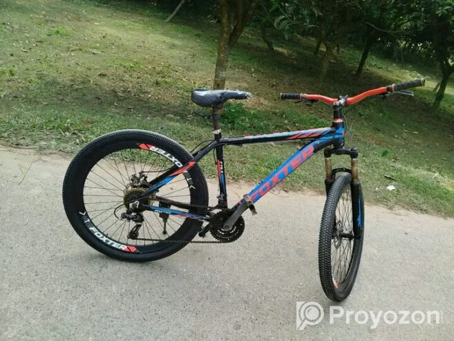 Foxter Bicycle (Used)