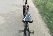 Foxter Bicycle (Used)