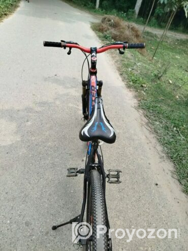 Foxter Bicycle (Used)