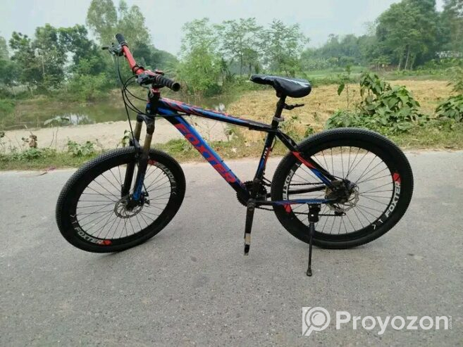 Foxter Bicycle (Used)