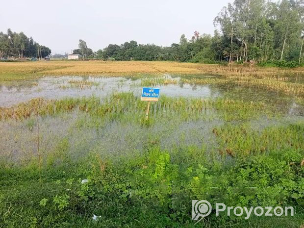 দিনাজপুর – গোবিন্দগঞ্জ হাইওয়েতে জমি বিক্রি হবে