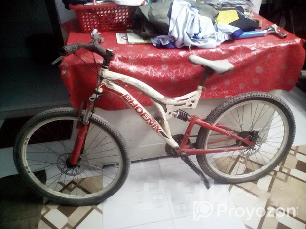 Bicycle for Sale (Used)