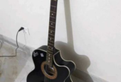 Signature guitar