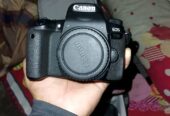 Canon 77d body