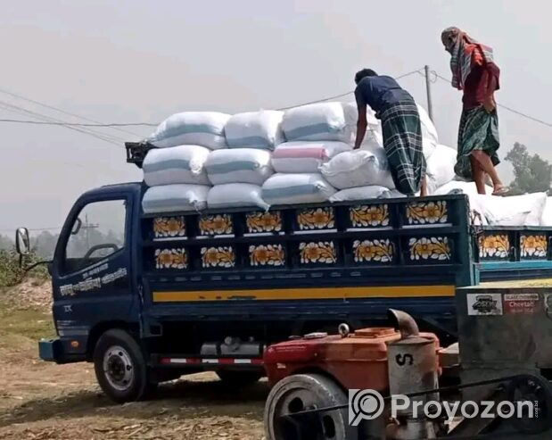 ভুট্টার সাইলেজ লাগলে যোগাযোগ করবেন